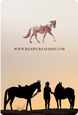 bijapur
