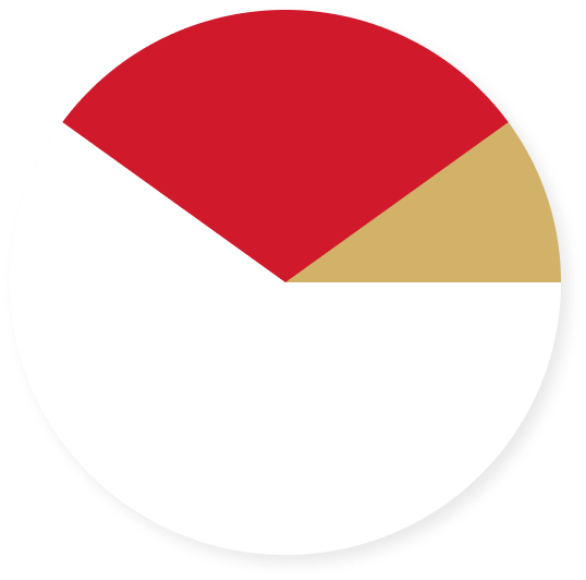 Muthoot Color Pie Chart