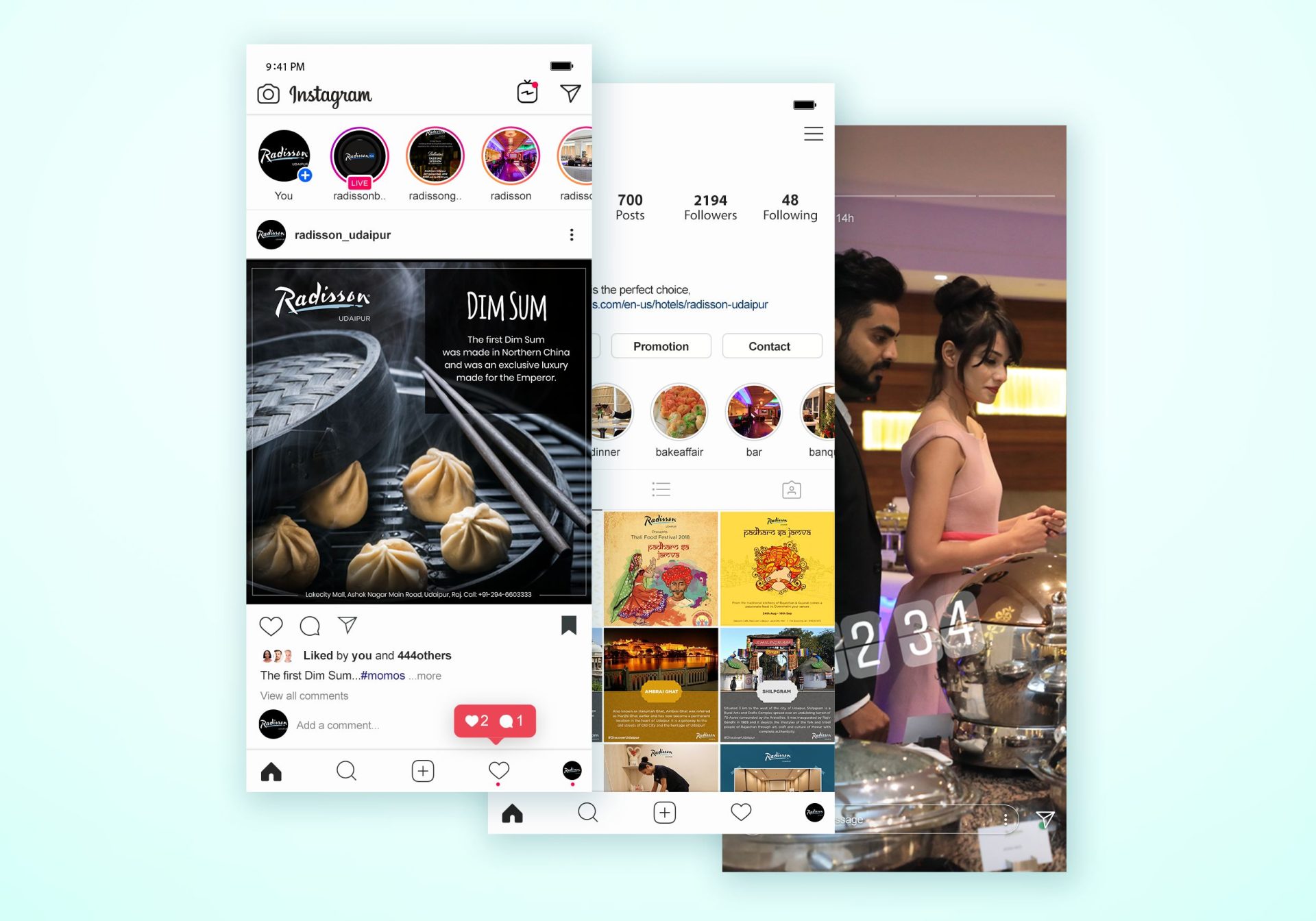 Radisson Udaipur Social Media
