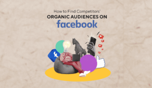 facebook audience