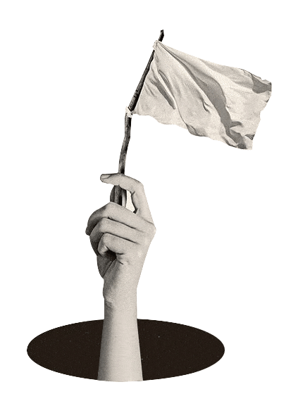 NDS Flag